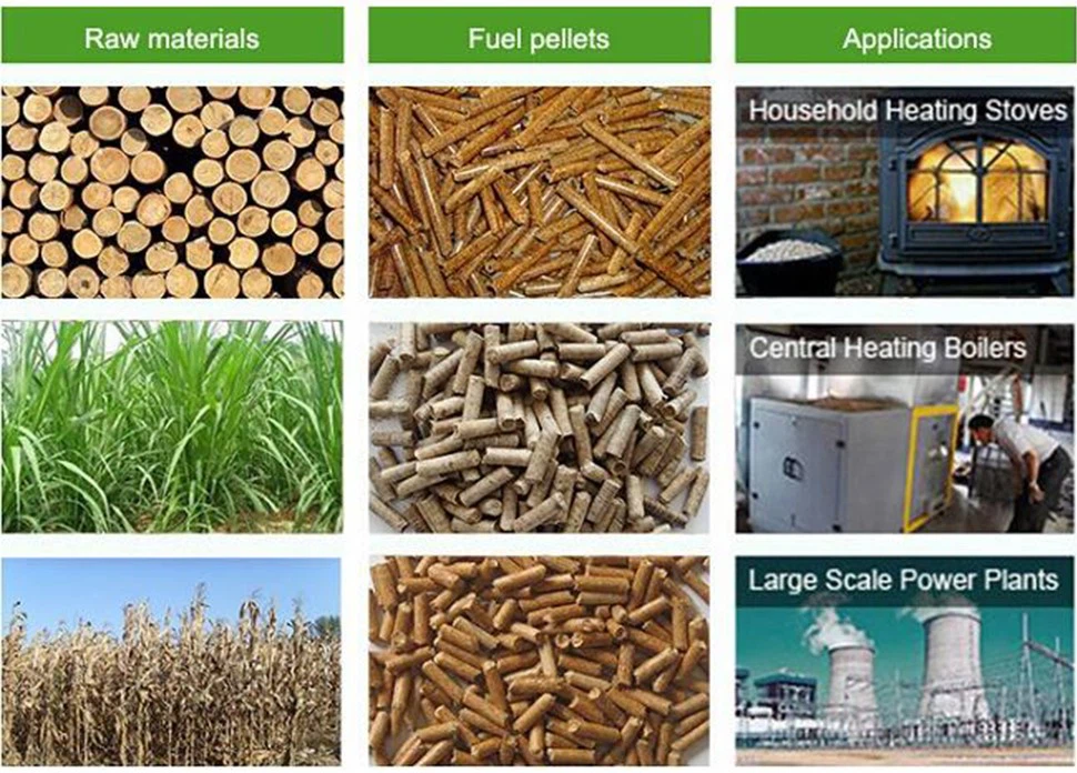 product-970-696 product-970-696