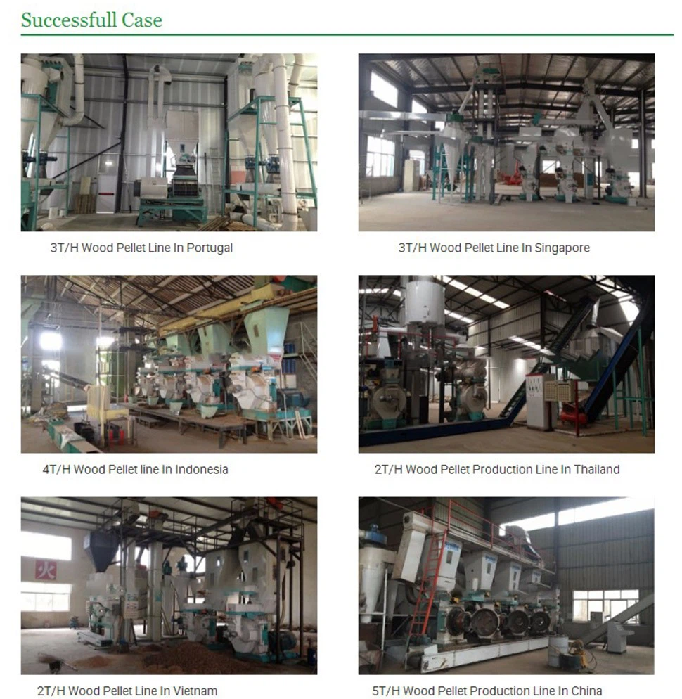 product-970-994 product-970-994